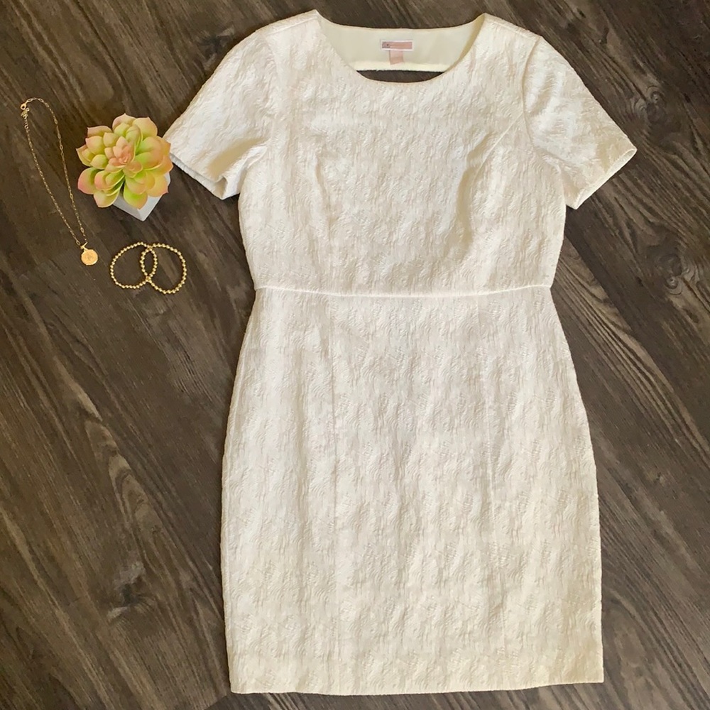 Chelsea28 white dress